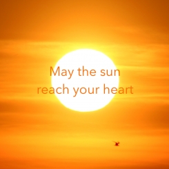 14_May_the_sun_reach_your_heart.jpg
