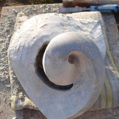 20201120_091618_kopie.jpg