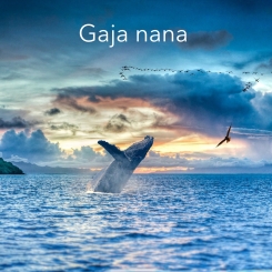 2_Gaja_nana.jpg